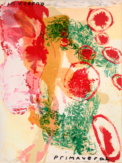 Schnabel-Invierno-Primaveral