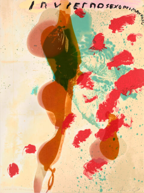 Schnabel-Inviernosexoprimaveral