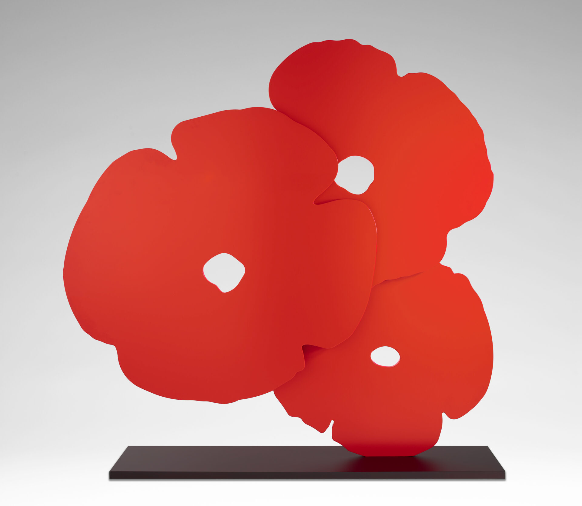 Big Red Poppies, 2015