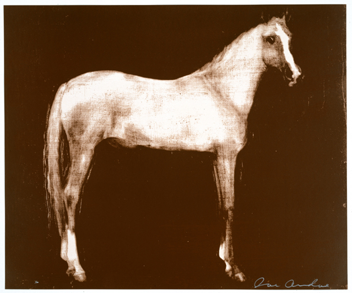 Horse X 12 (Brown)