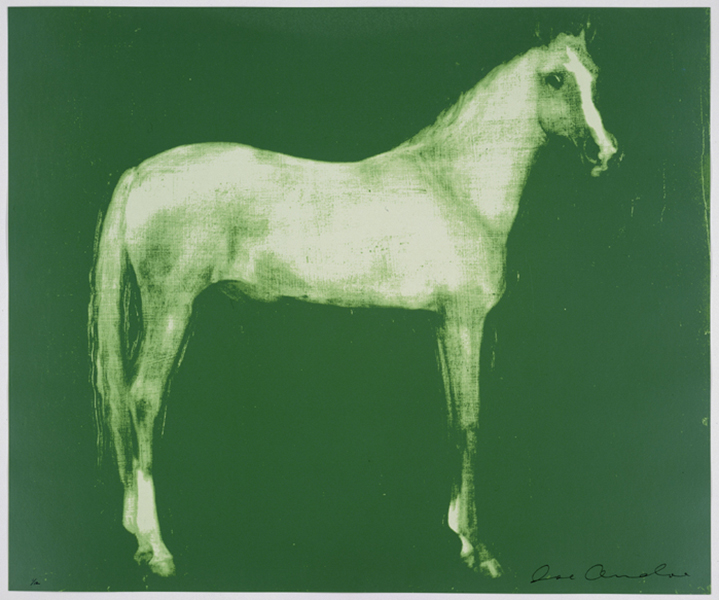 Horse X 12 (Green)