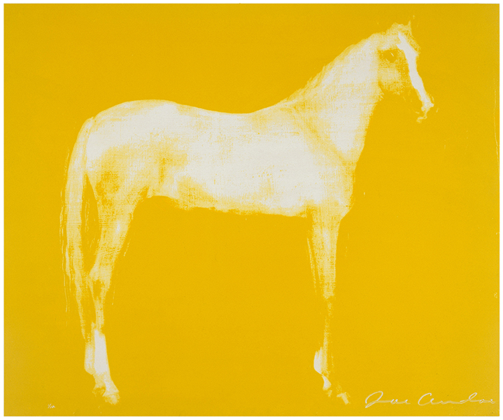Horse X 12 (Yellow)