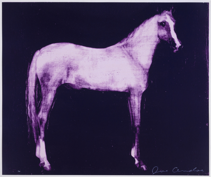 Horse X 12 (Purple)