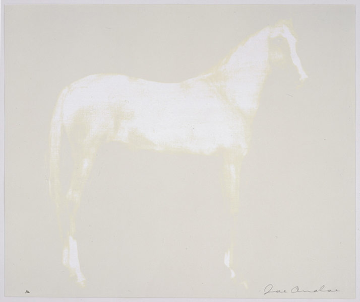 Horse X 12 (White)