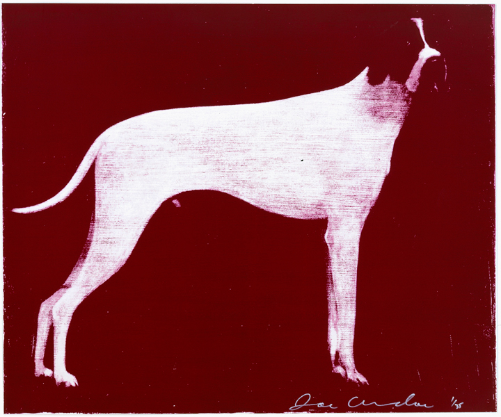Large Dog (Burgundy)