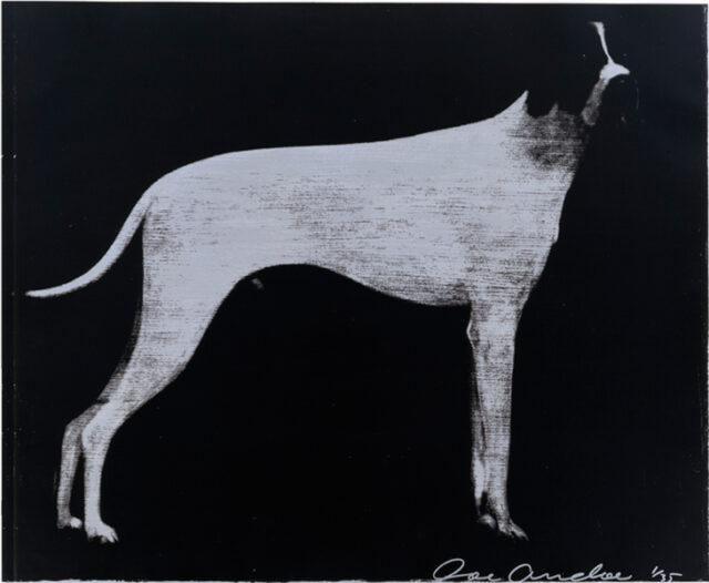 Large Dog (Graphite on Silver)