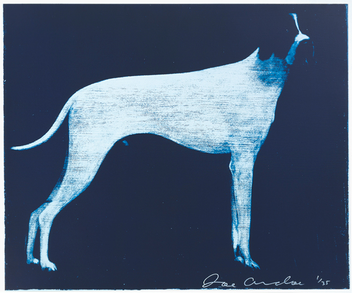 Large Dog (Midnight Blue)