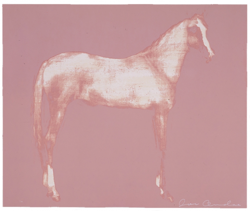 Horse X 12 (Pink)