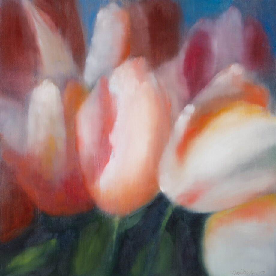 6 Tulips