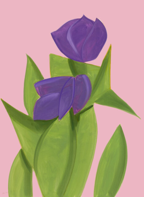 Purple Tulips 2