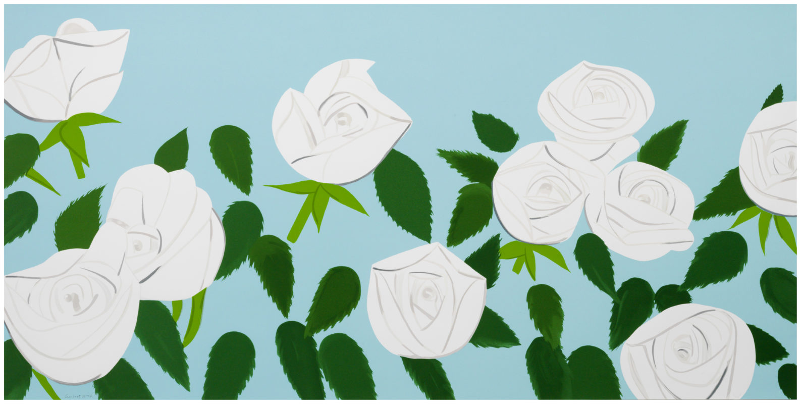 White Roses