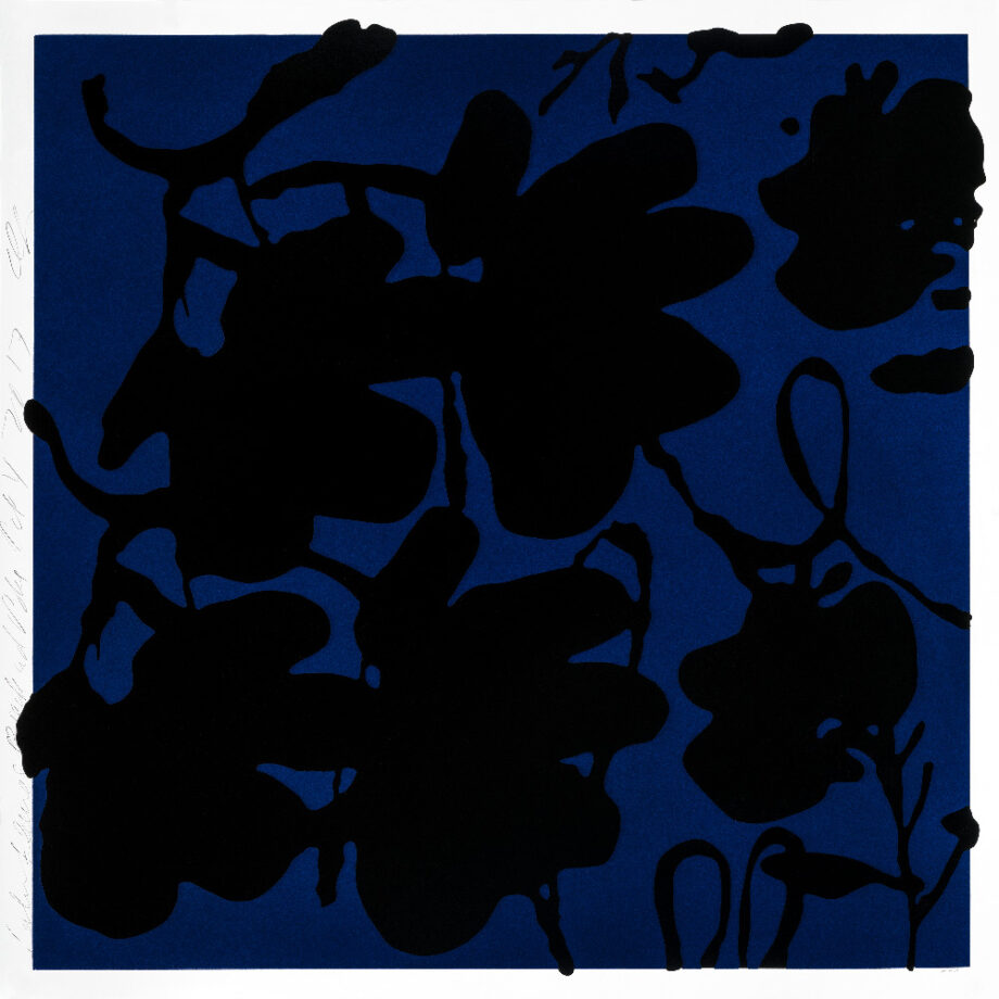 Lantern Flowers, Black and Blue, Oct 4, 2017