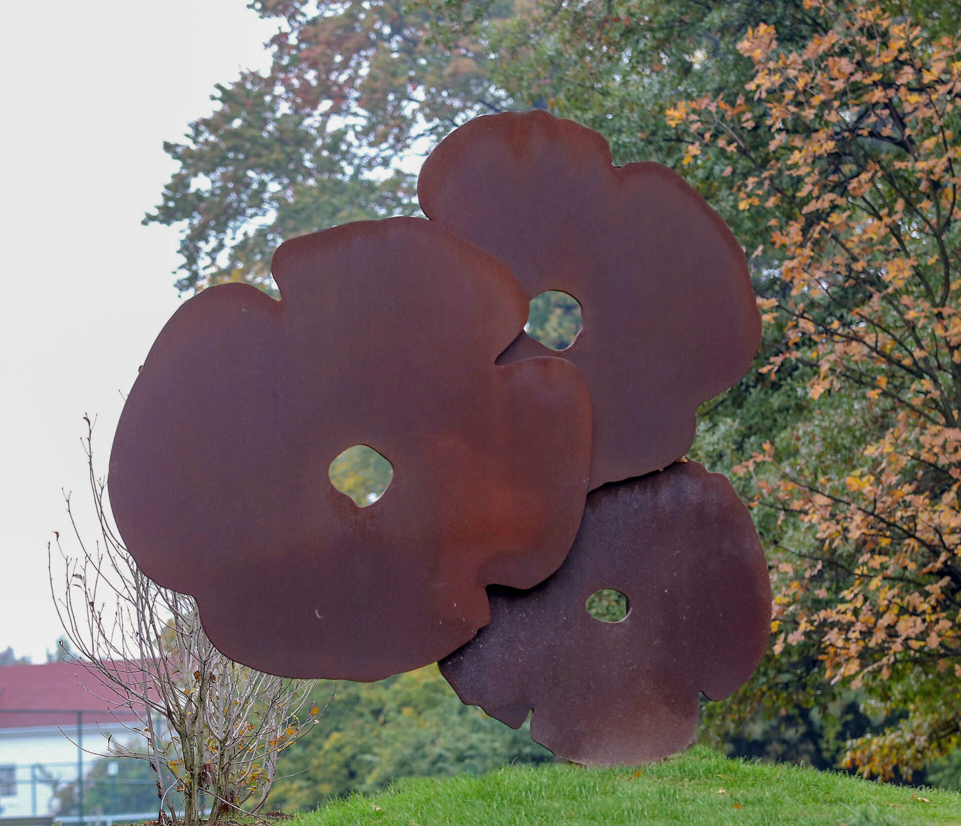 Big Corten Poppies, 2015