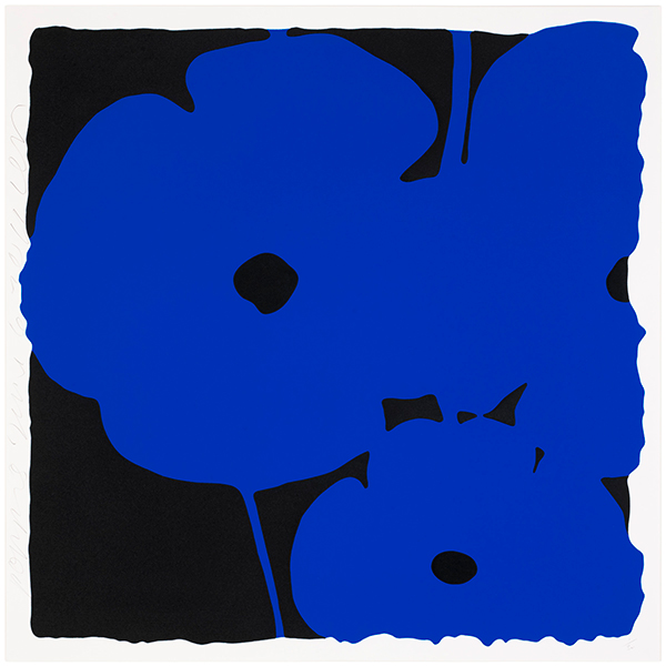 Poppies, June 6, 2011 (Blue)