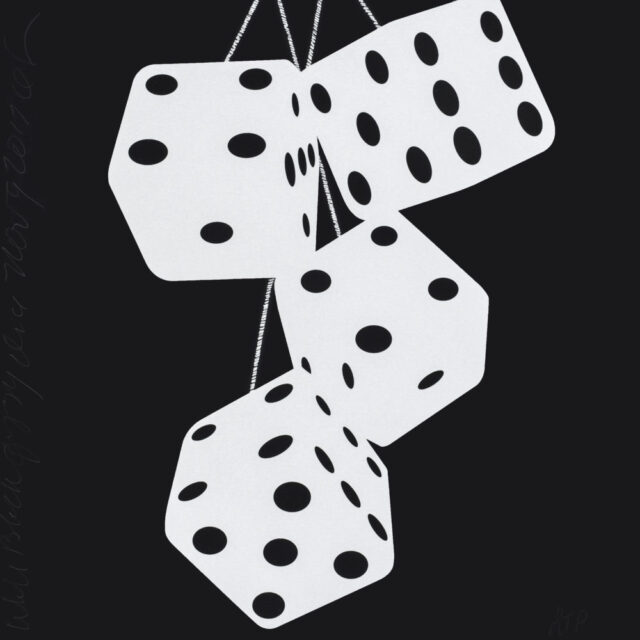 White Black Fuzzy Dice, Nov 9, 2017