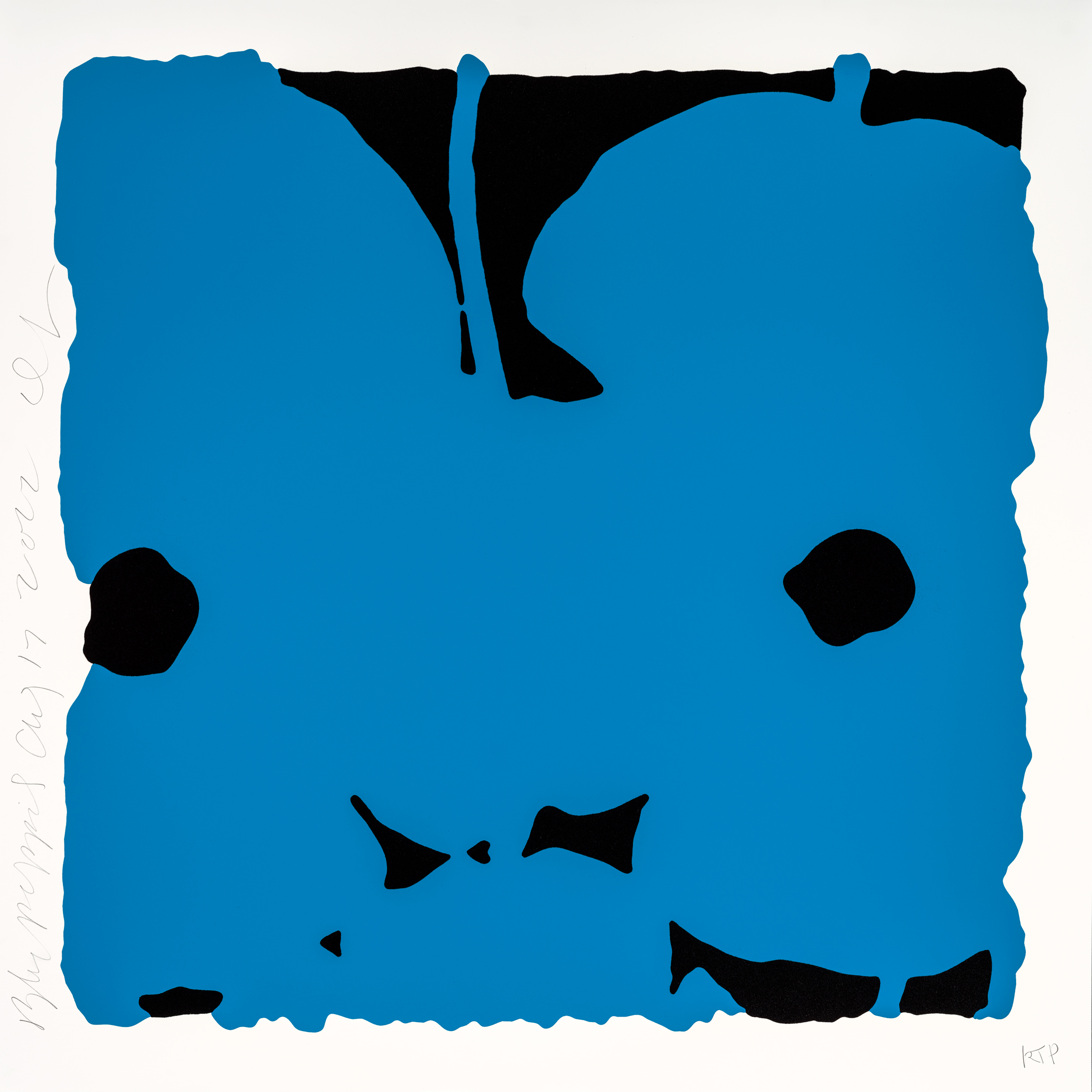 Sultan-Blue-Poppies-Aug-17-2022-DS_signed