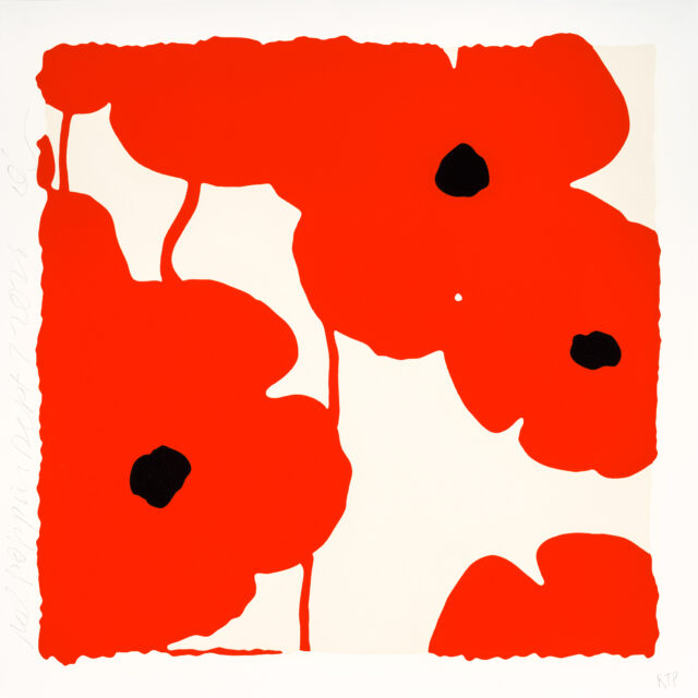 Red Poppies, Sept 7, 2022