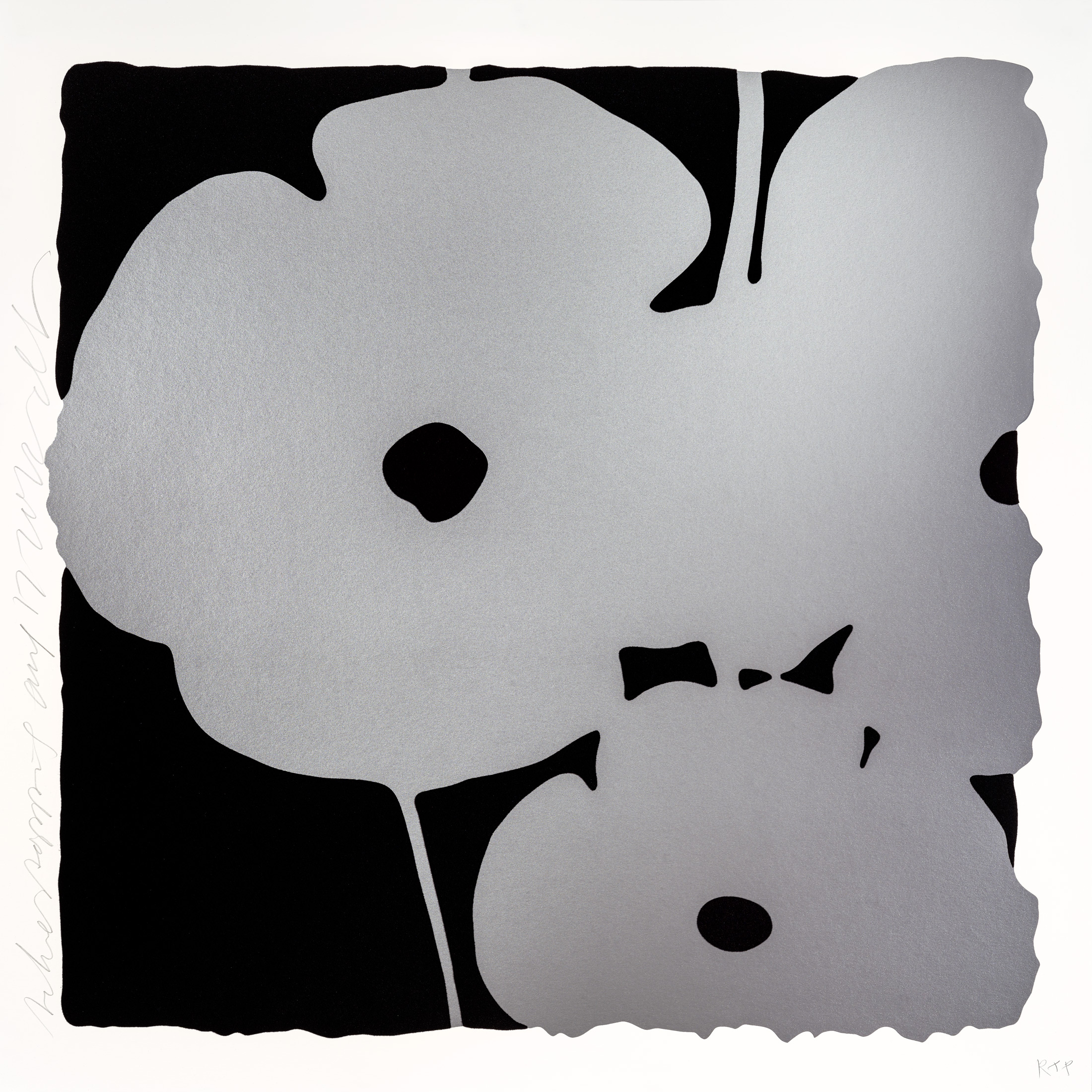 Sultan-Silver-Poppies-Aug-17-2022-DS_signed