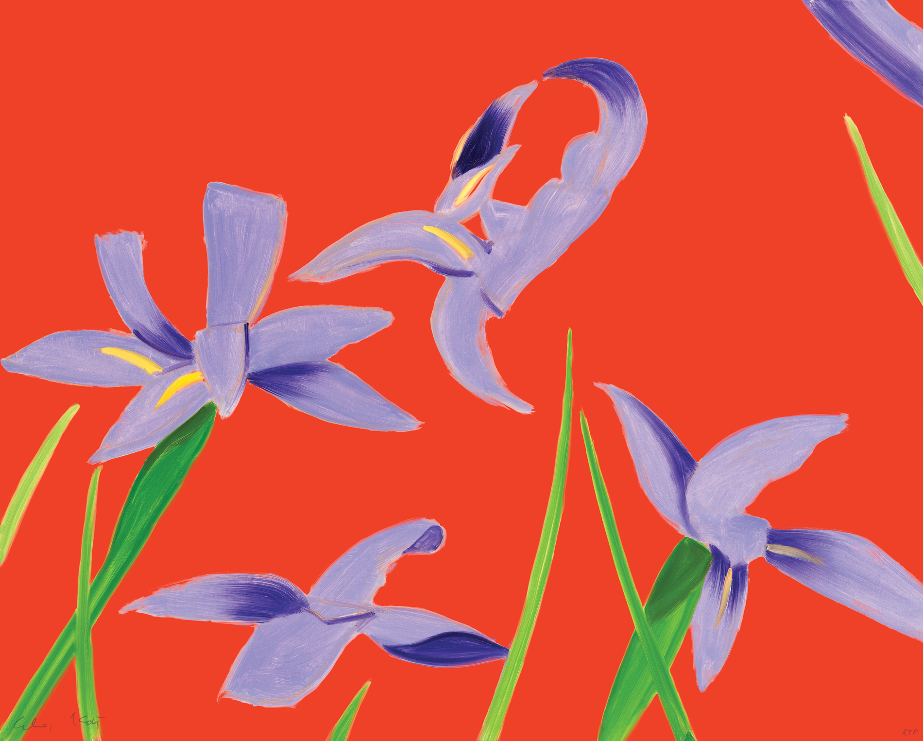 Purple Irises on Red