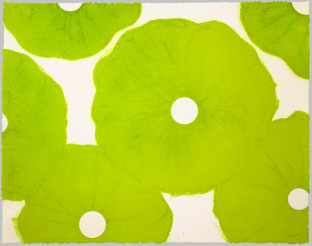 Six Green Poppies, 2021