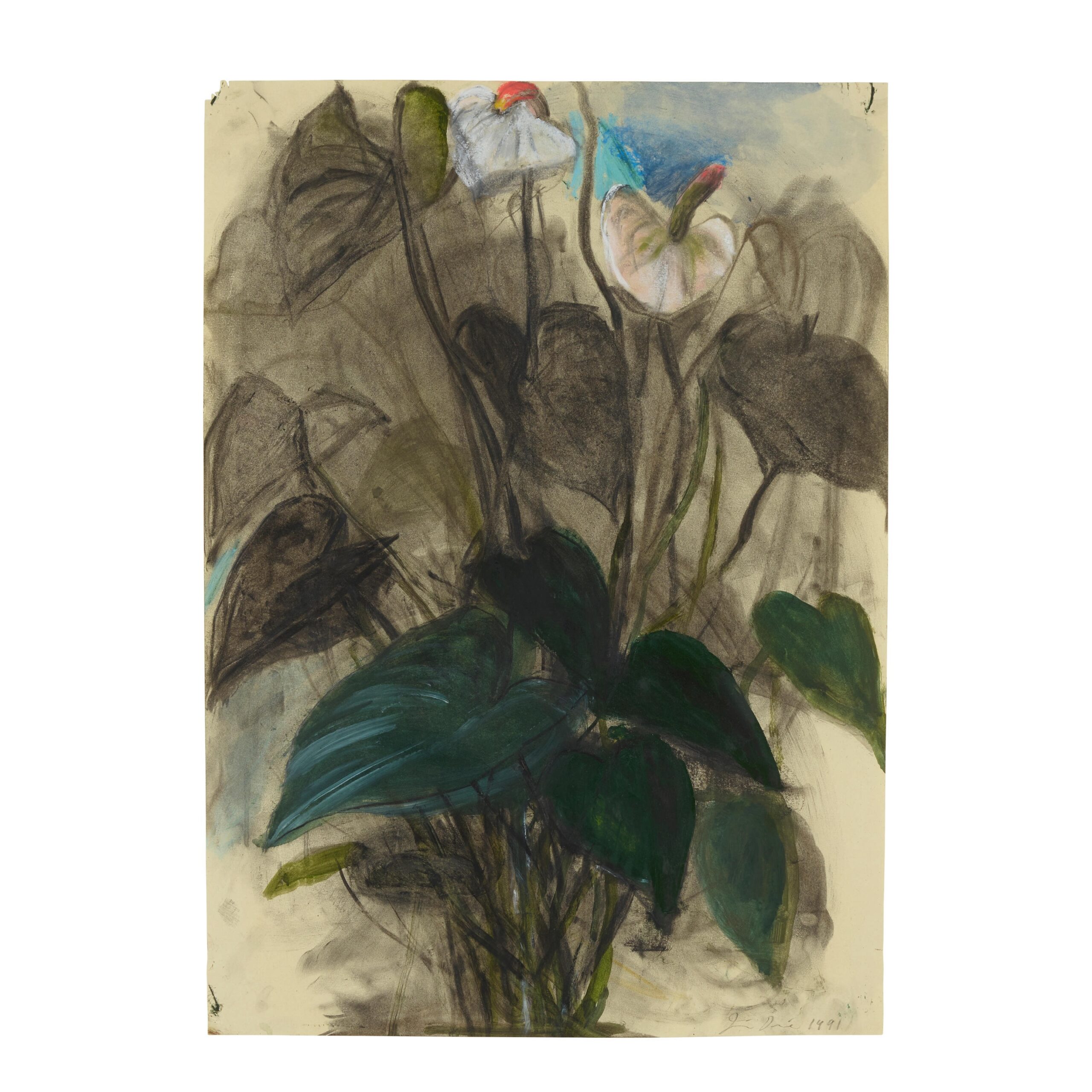 Jim Dine, Anthurium