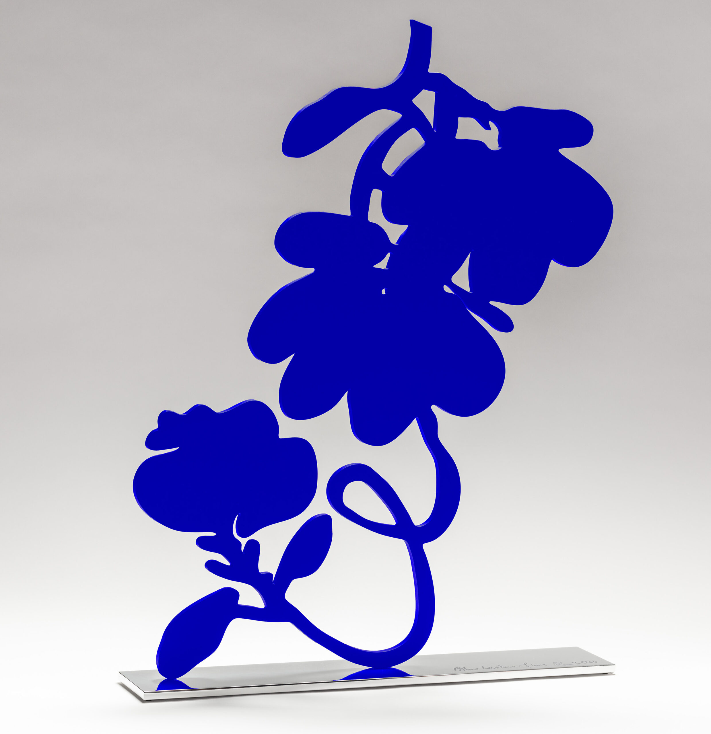 Blue Lantern Flowers, 2020