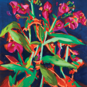 Wittenberg-Himalayan-Balsam