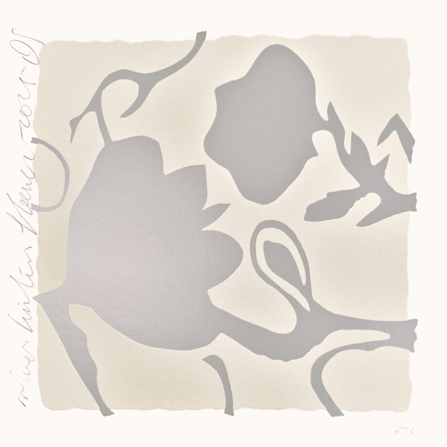 Silver Lantern Flowers 2025