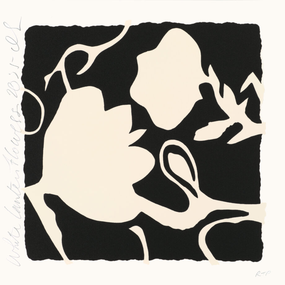White Lantern Flowers 2025