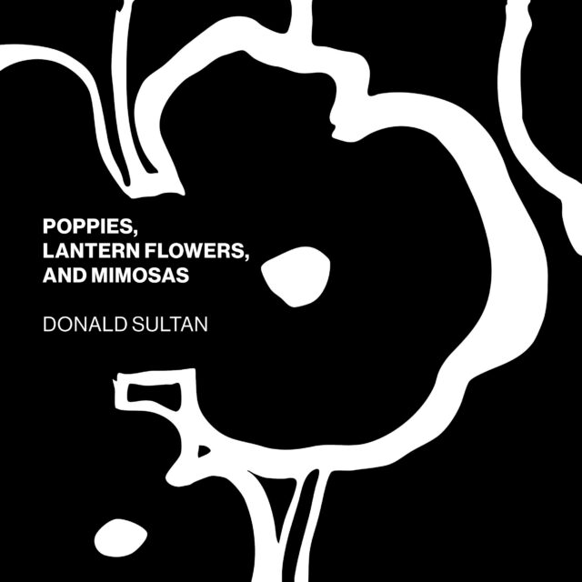 Donald Sultan: Poppies, Lantern Flowers, and Mimosas