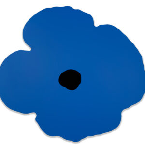 Sultan-Blue-Wall-Poppy-Oct-15-2024-DS