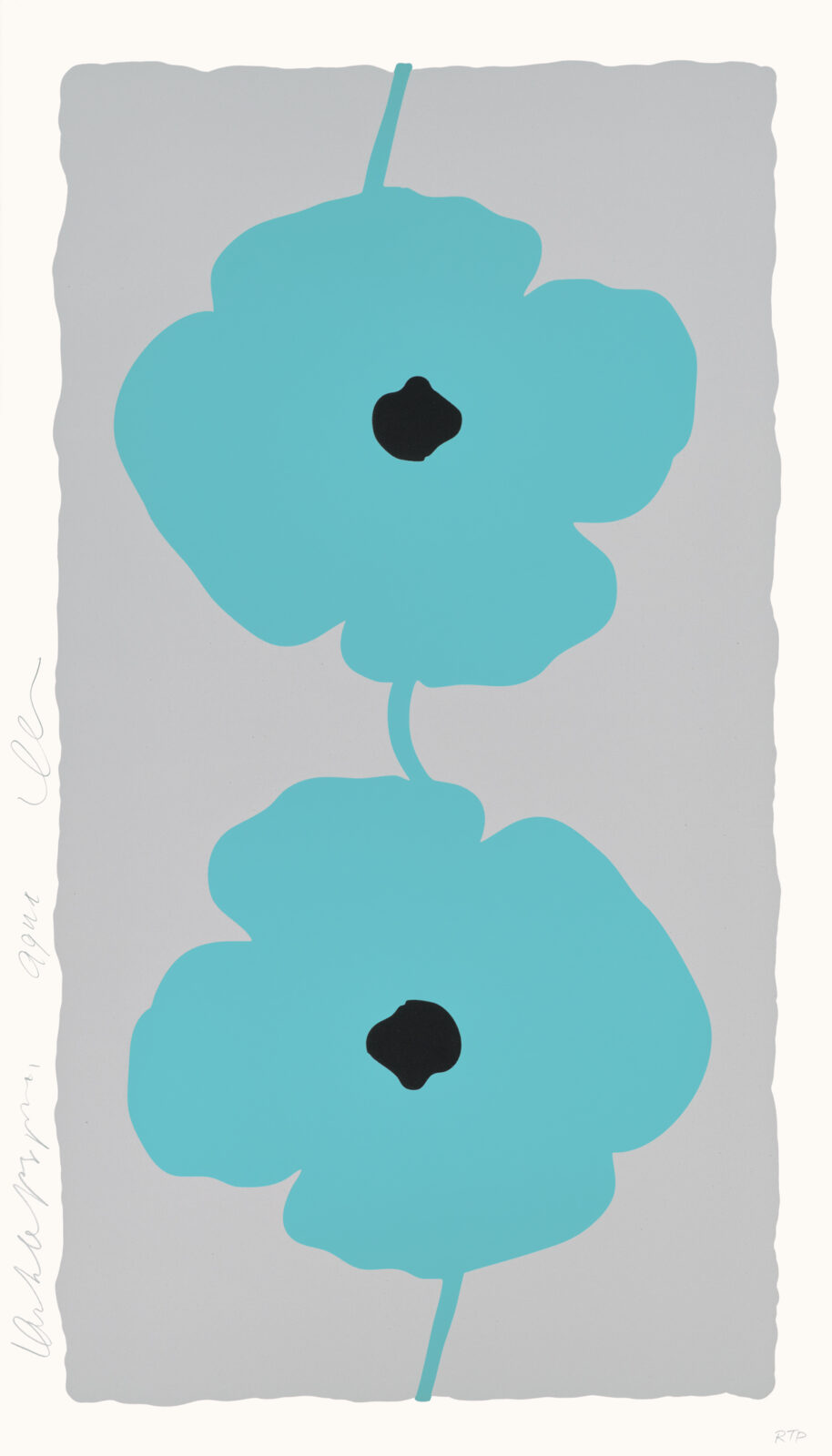Double Poppies Aqua