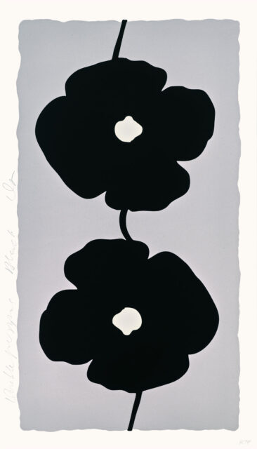 Sultan-Double-Poppies-Black