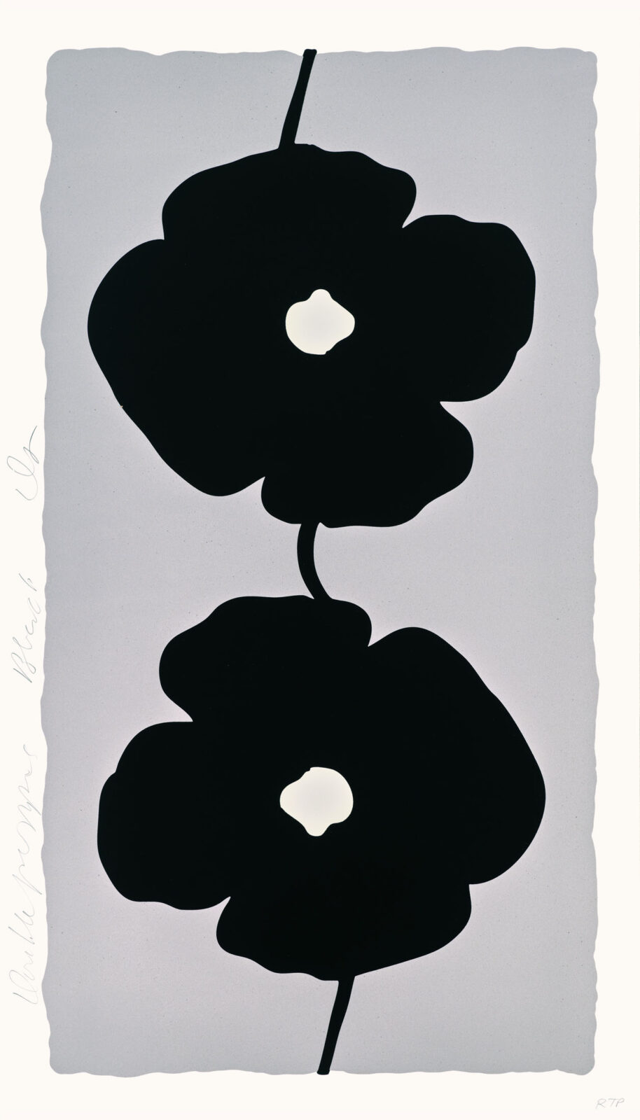 Double Poppies Black