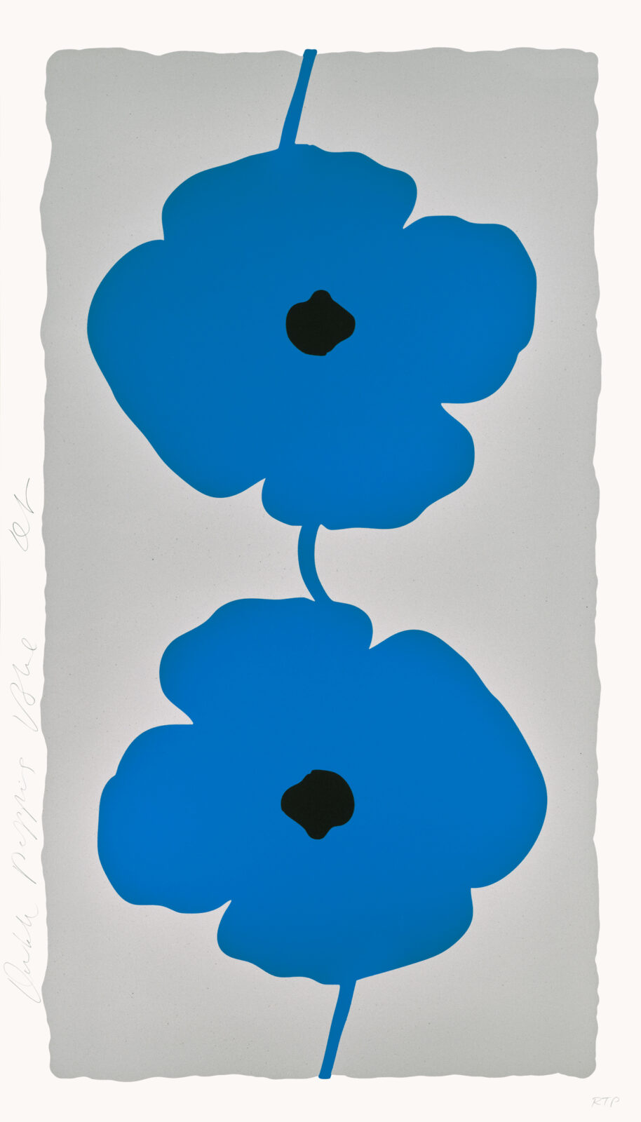 Double Poppies Blue