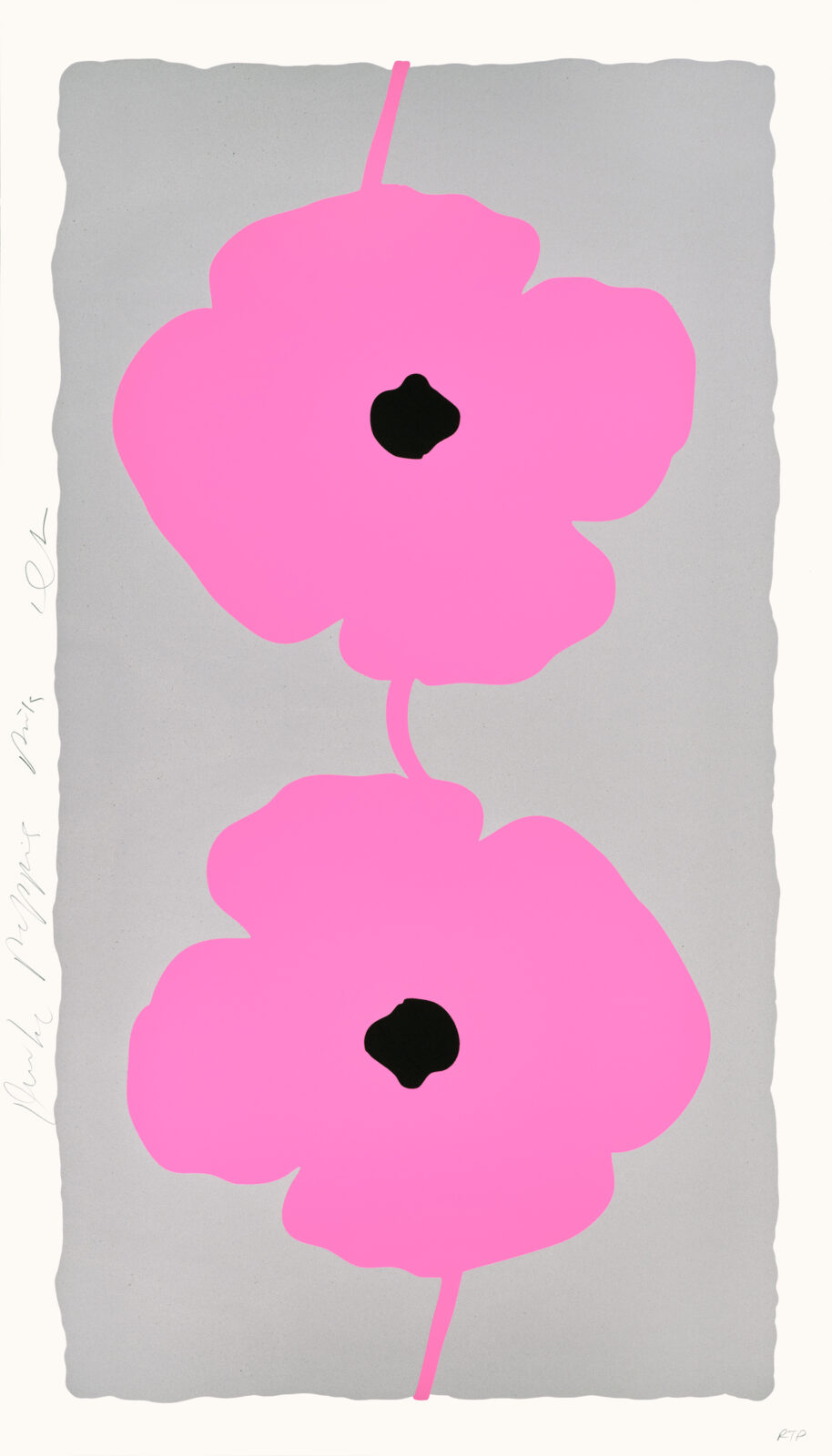 Double Poppies Pink