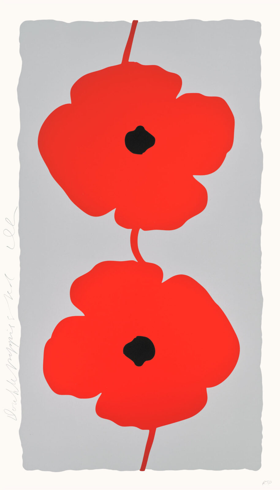 Double Poppies Red