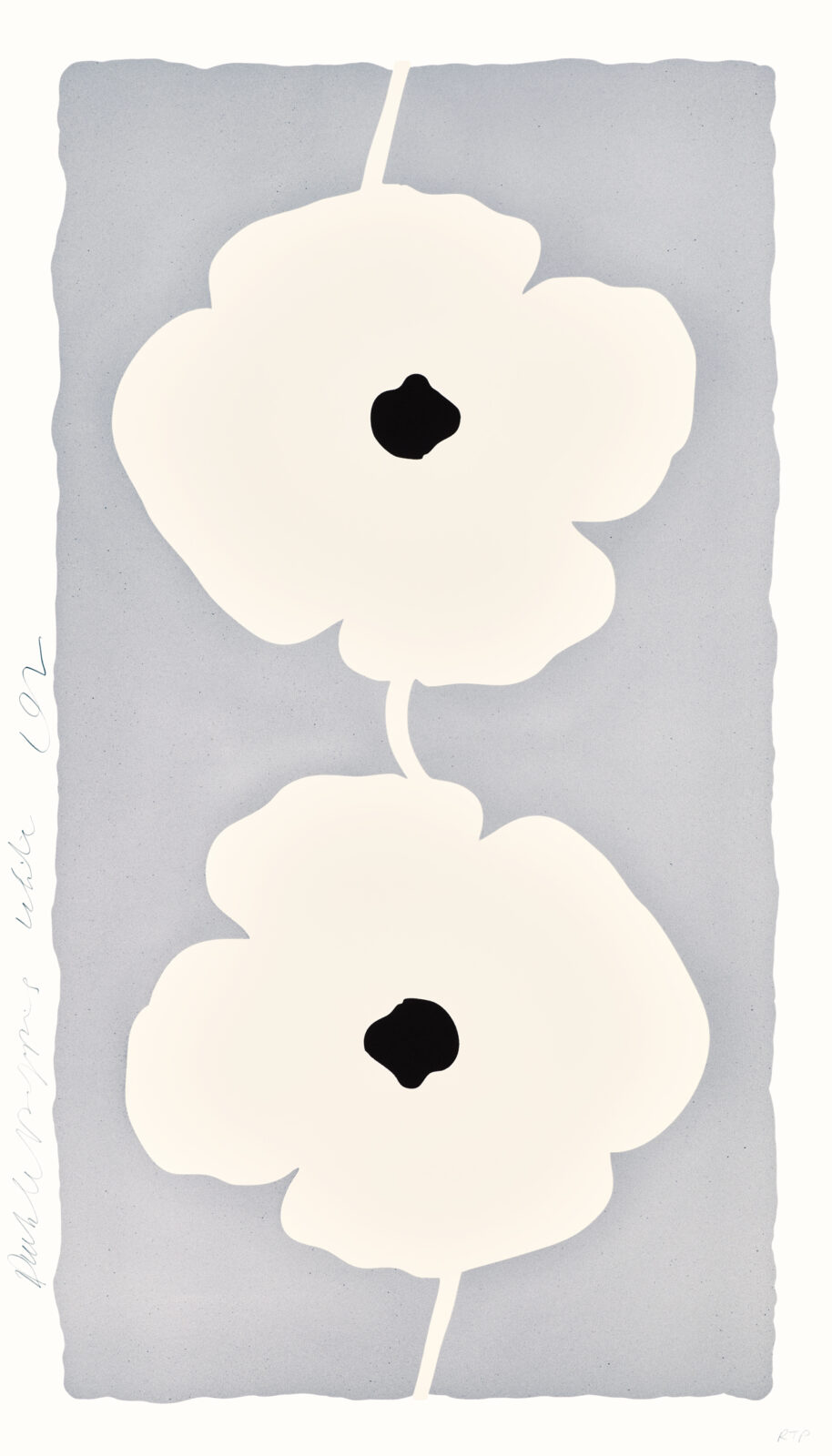 Double Poppies White