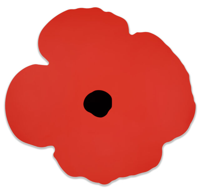 Sultan-Red-Wall-Poppy-Oct-15-2024-DS