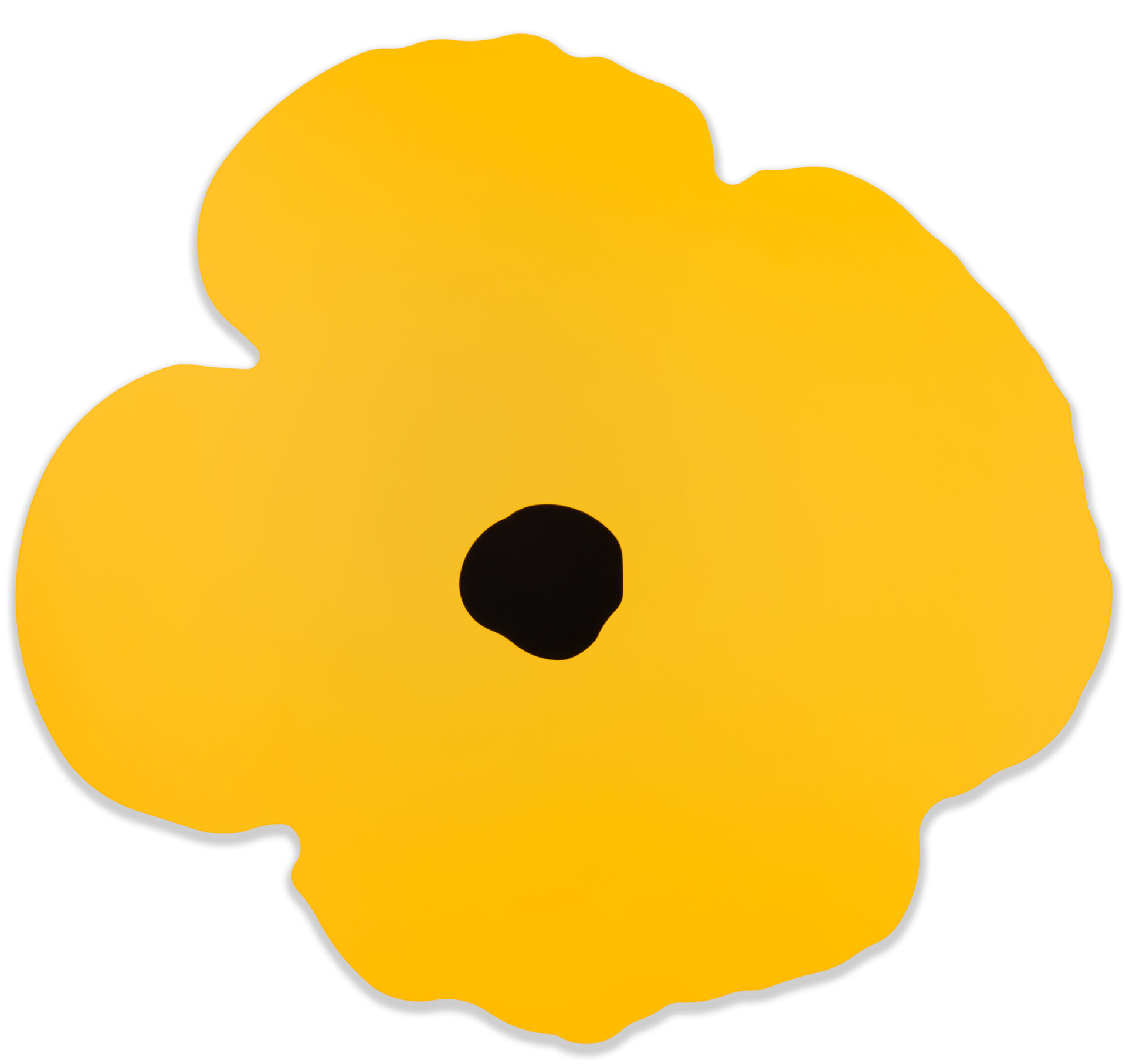 Yellow Wall Poppy, Oct 15, 2024