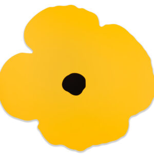 Sultan-Yellow-Wall-Poppy-Oct-15-2024-DS