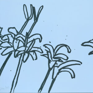 Katz-Lilies-10_signed-RTP
