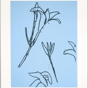 Katz-Lilies-4_signed-RTP