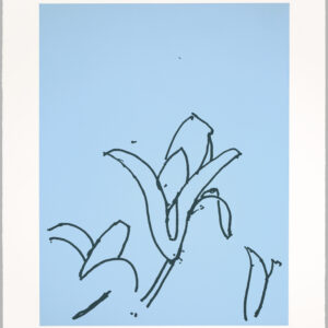 Katz-Lilies-5_signed-RTP