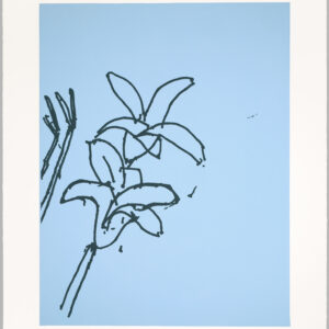 Katz-Lilies-6_signed-RTP