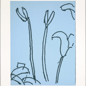 Katz-Lilies-7_signed-RTP