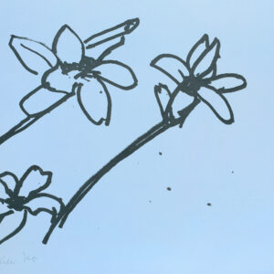 Katz-Lilies-9_signed-RTP