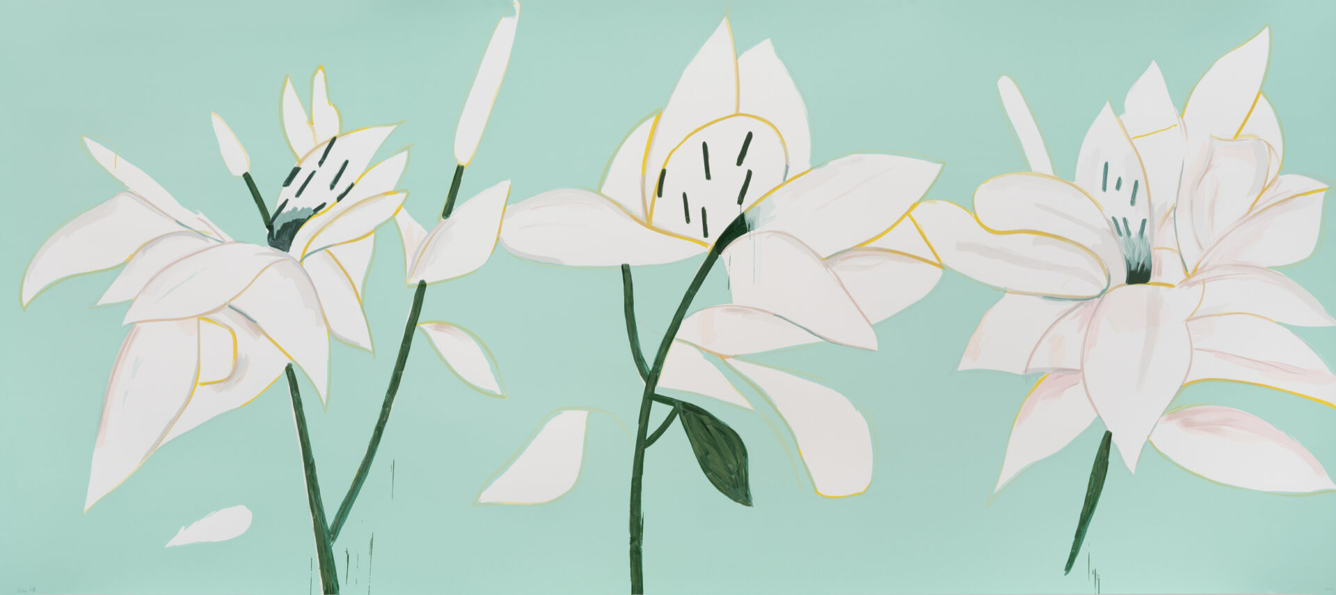 White Lillies 6