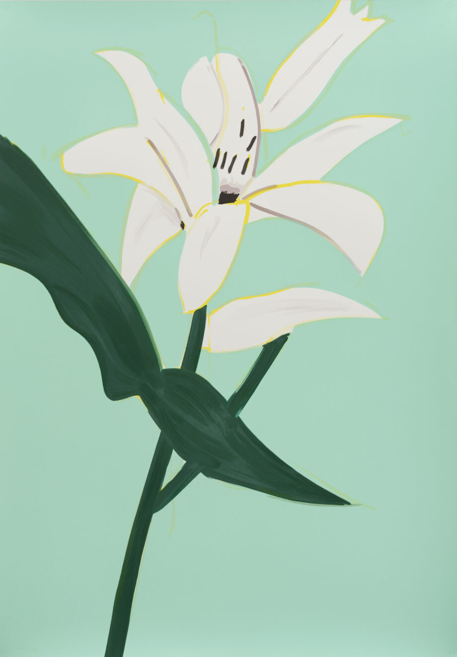 White Lilies 2