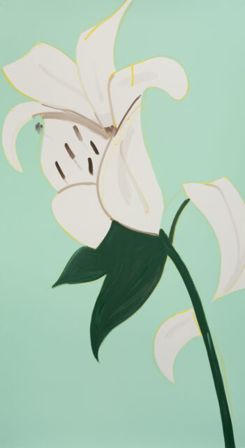 White Lilies 3